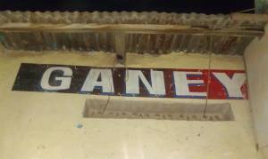 Ganey-Arts-3